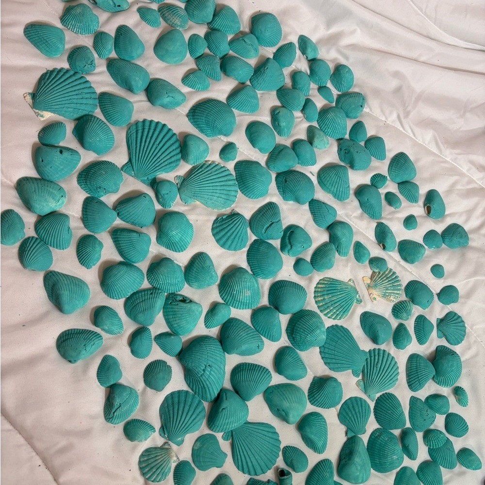 156 Aqua Teal Painted Real Seashells For Decorating Or Center Pieces